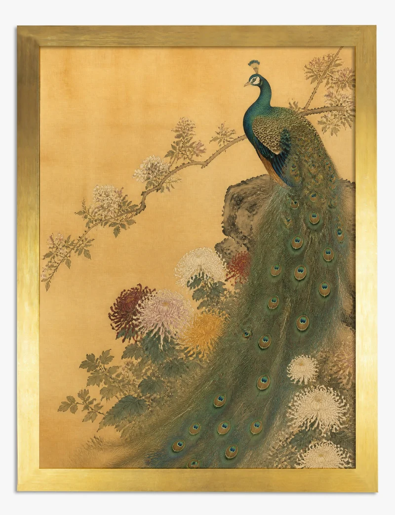 Peacock and Chrysanthemums Art Print