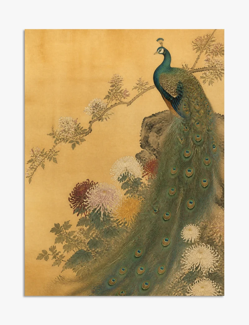Peacock and Chrysanthemums Art Print