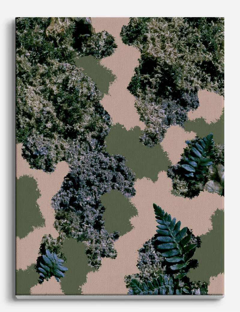 Moss and Fern Collage Canvas Print
