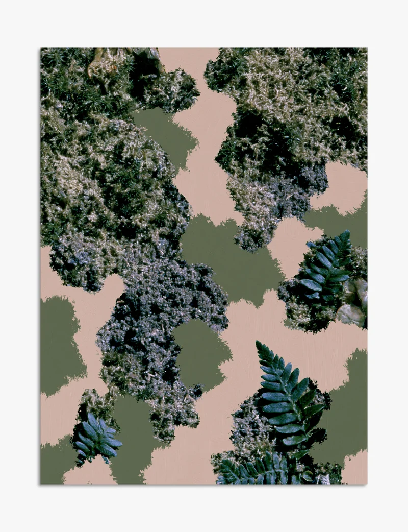 Moss and Fern Collage Art Print